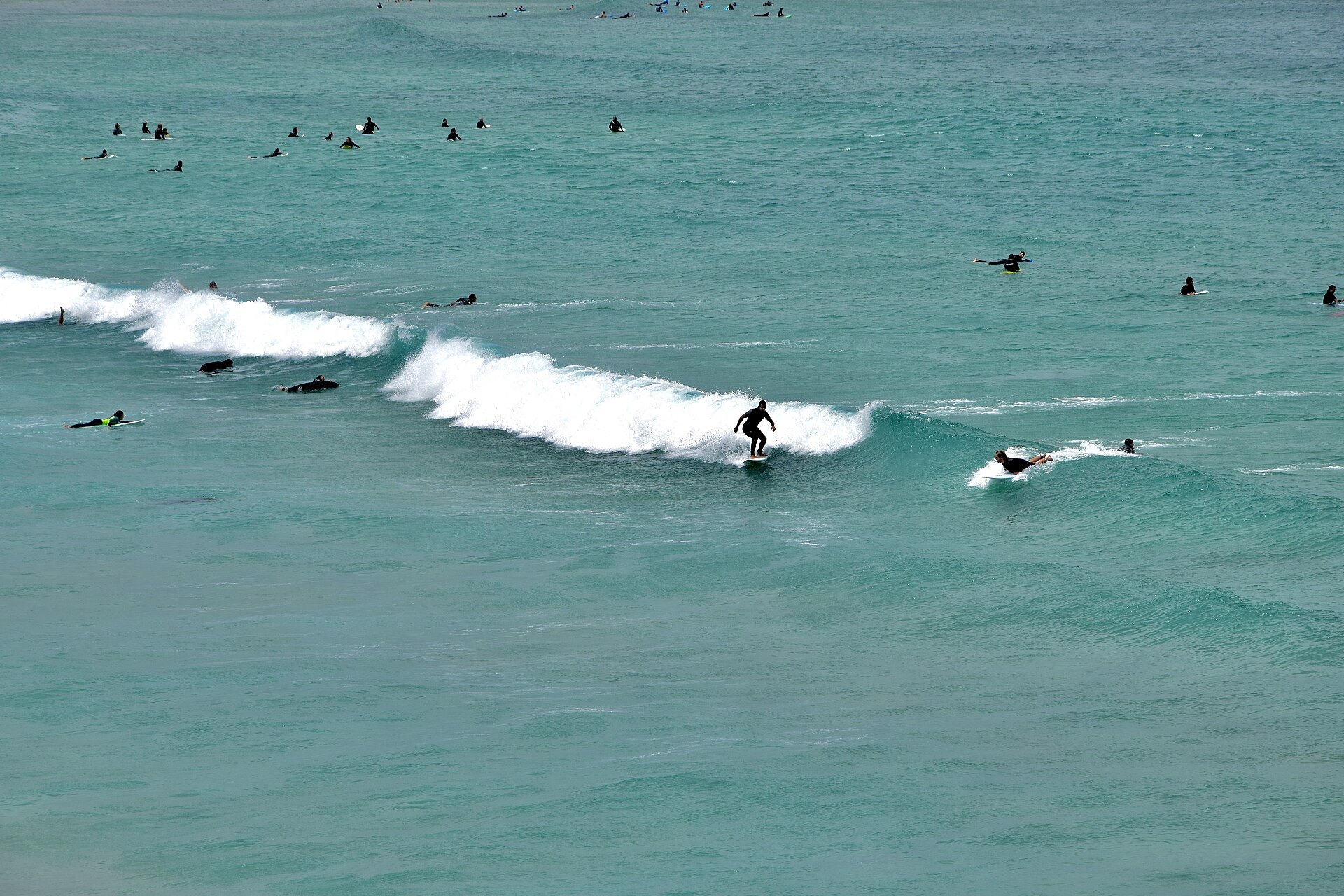 Surfers waiting and paddling in the break at Bondi