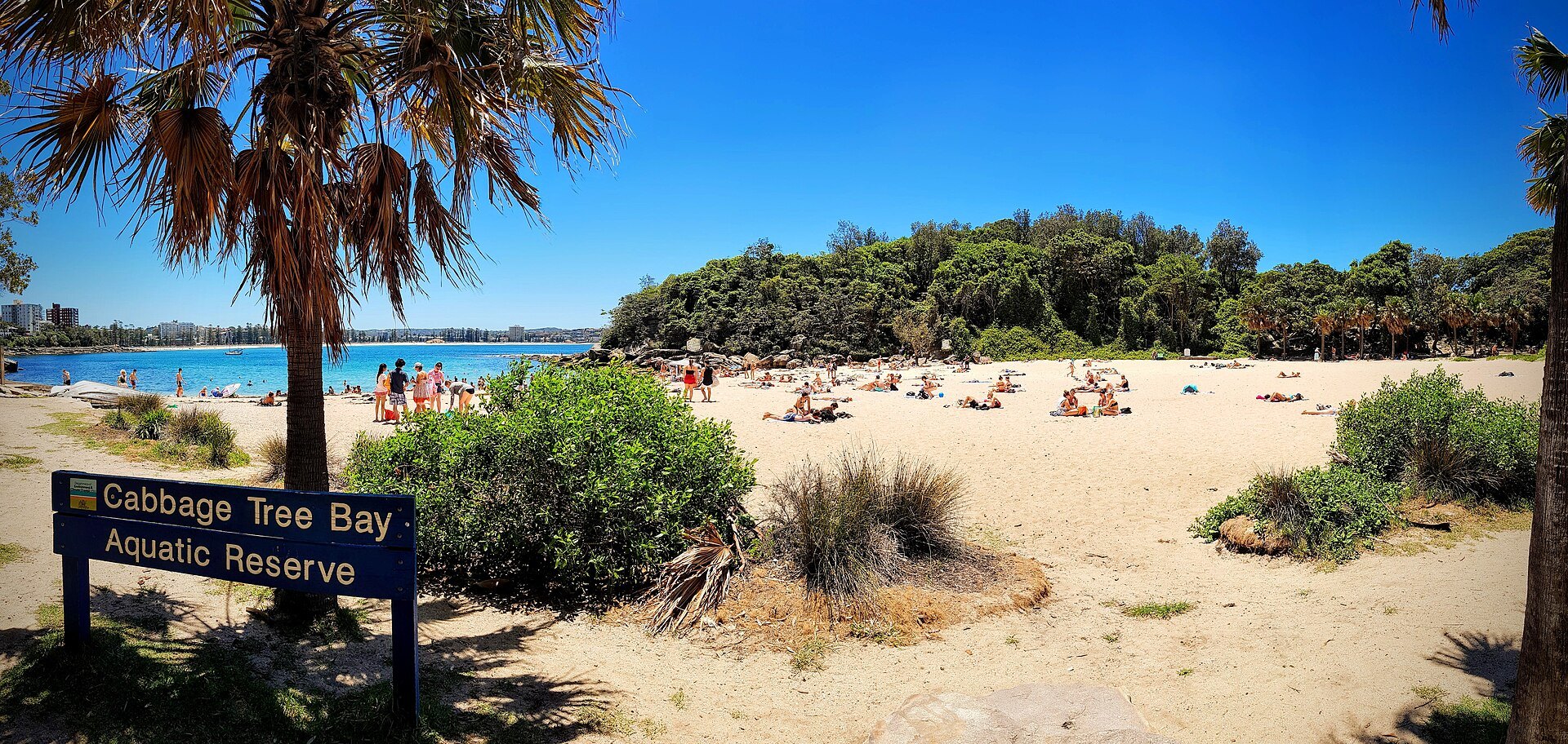 Shelly Beach at Manly, sheltered water and palms behind the sand