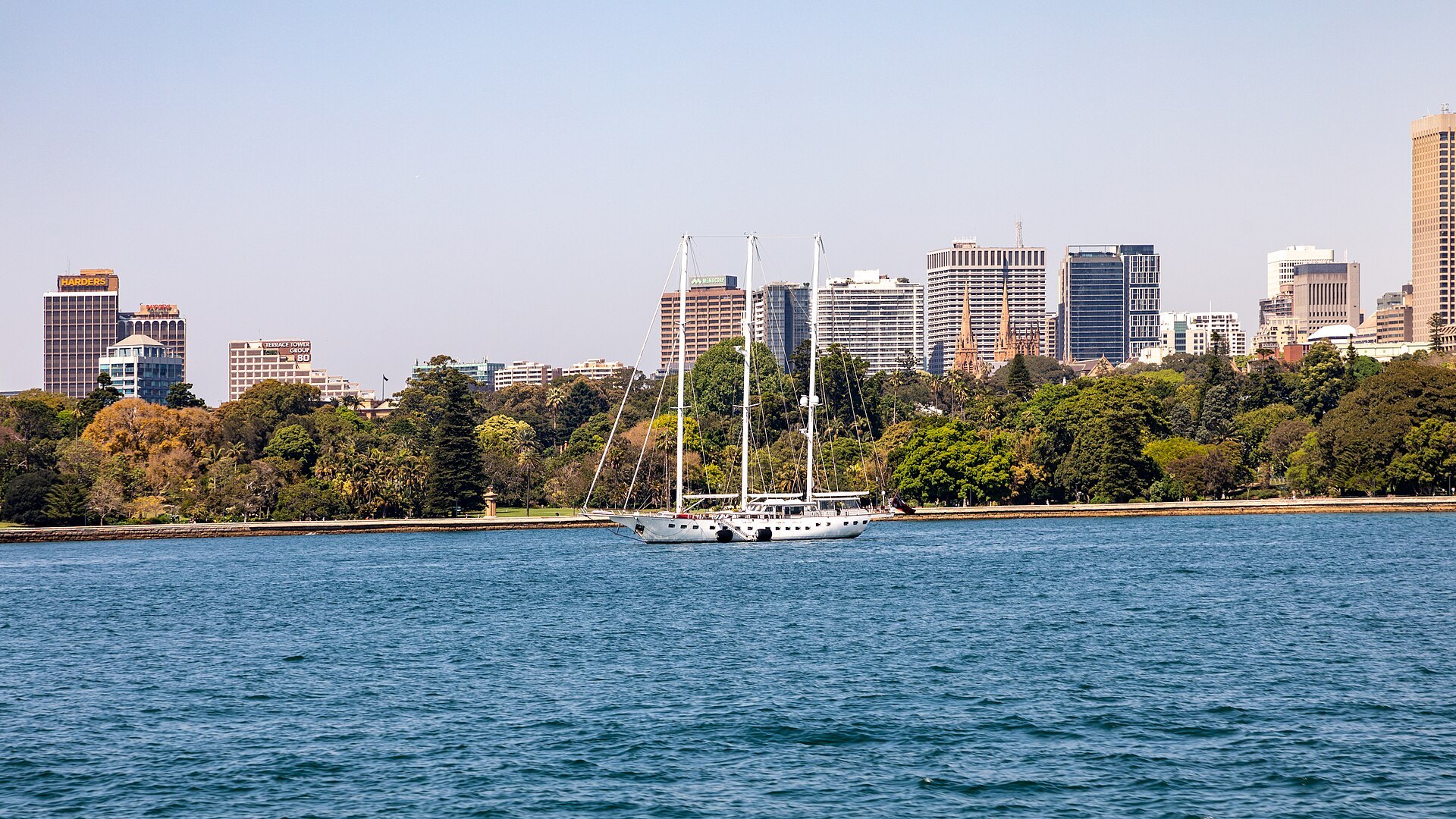 Farm Cove in the Botanic Garden with the city skyline across the water and a tall ship moored