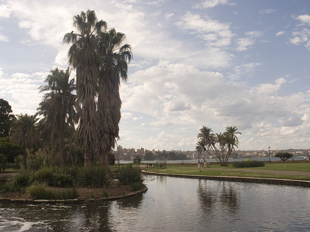 A pond in the Botanic Garden with palms reflected in it