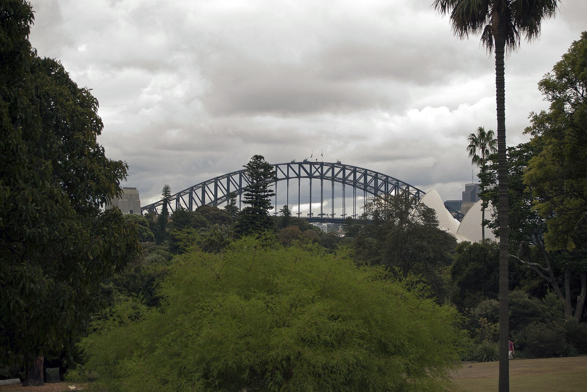 The Harbour Bridge seen through the trees from inside the Botanic Garden