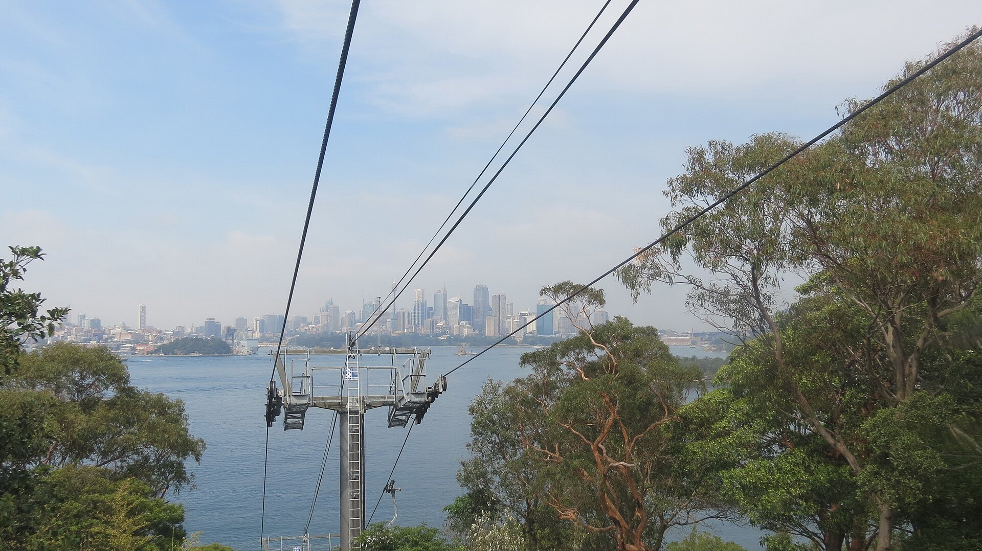 The cable car running above the trees at Taronga with the harbour below