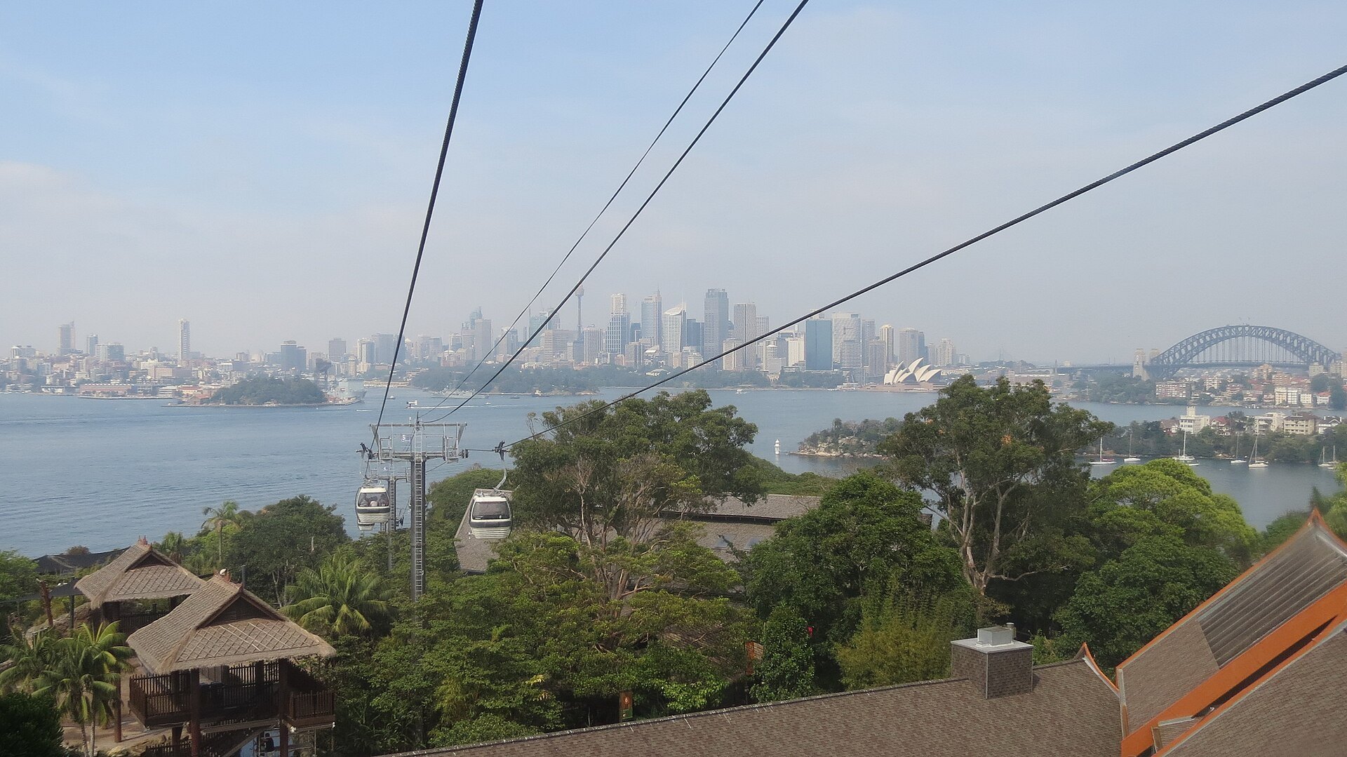 The harbour and the Harbour Bridge seen from the hillside at Taronga