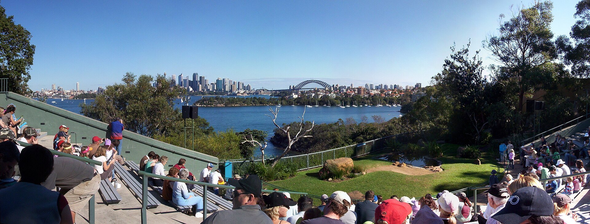 The open-air amphitheatre at Taronga filling up before a bird show, the harbour beyond