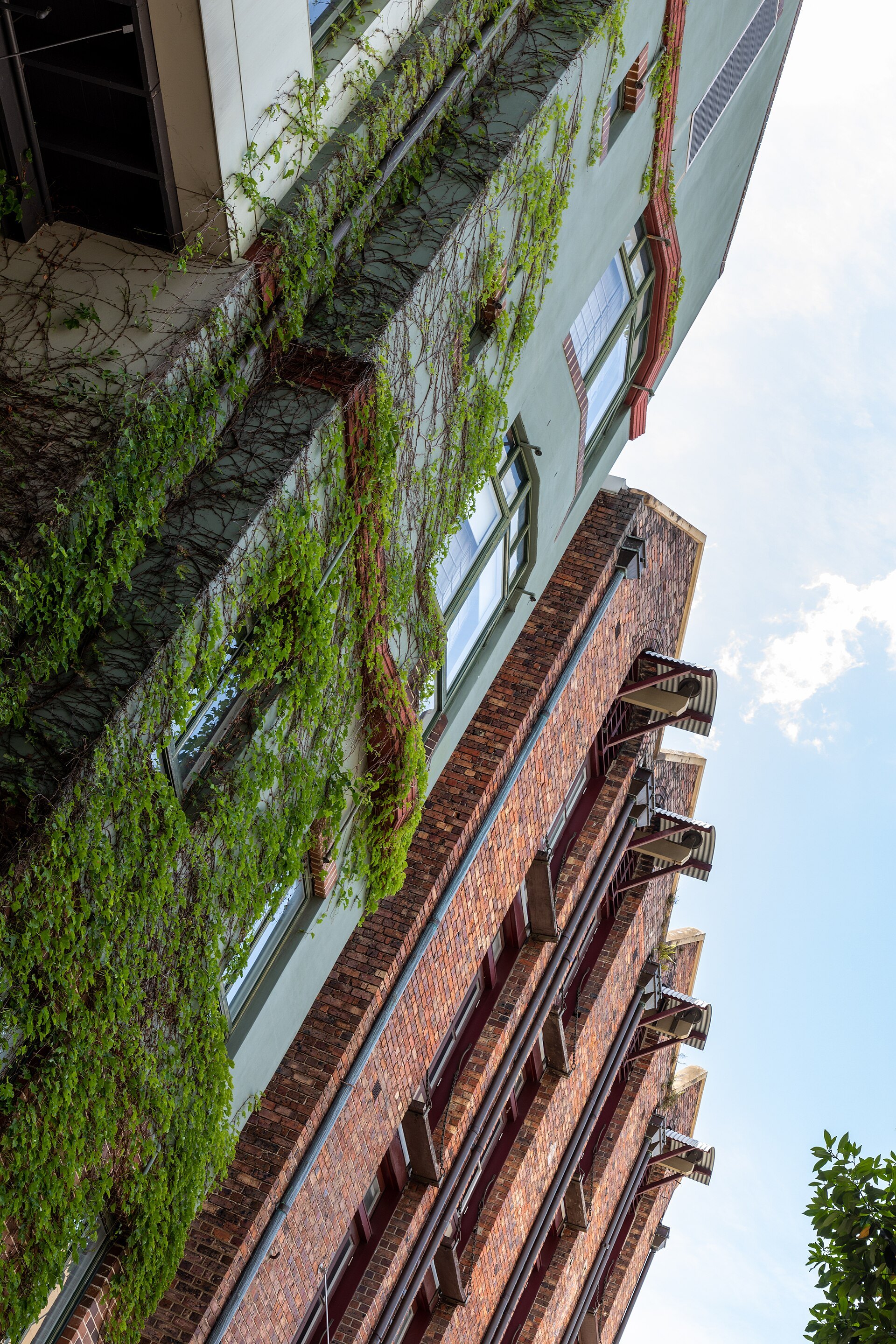 Looking up a narrow lane at the Rocks with plants growing over the brickwork